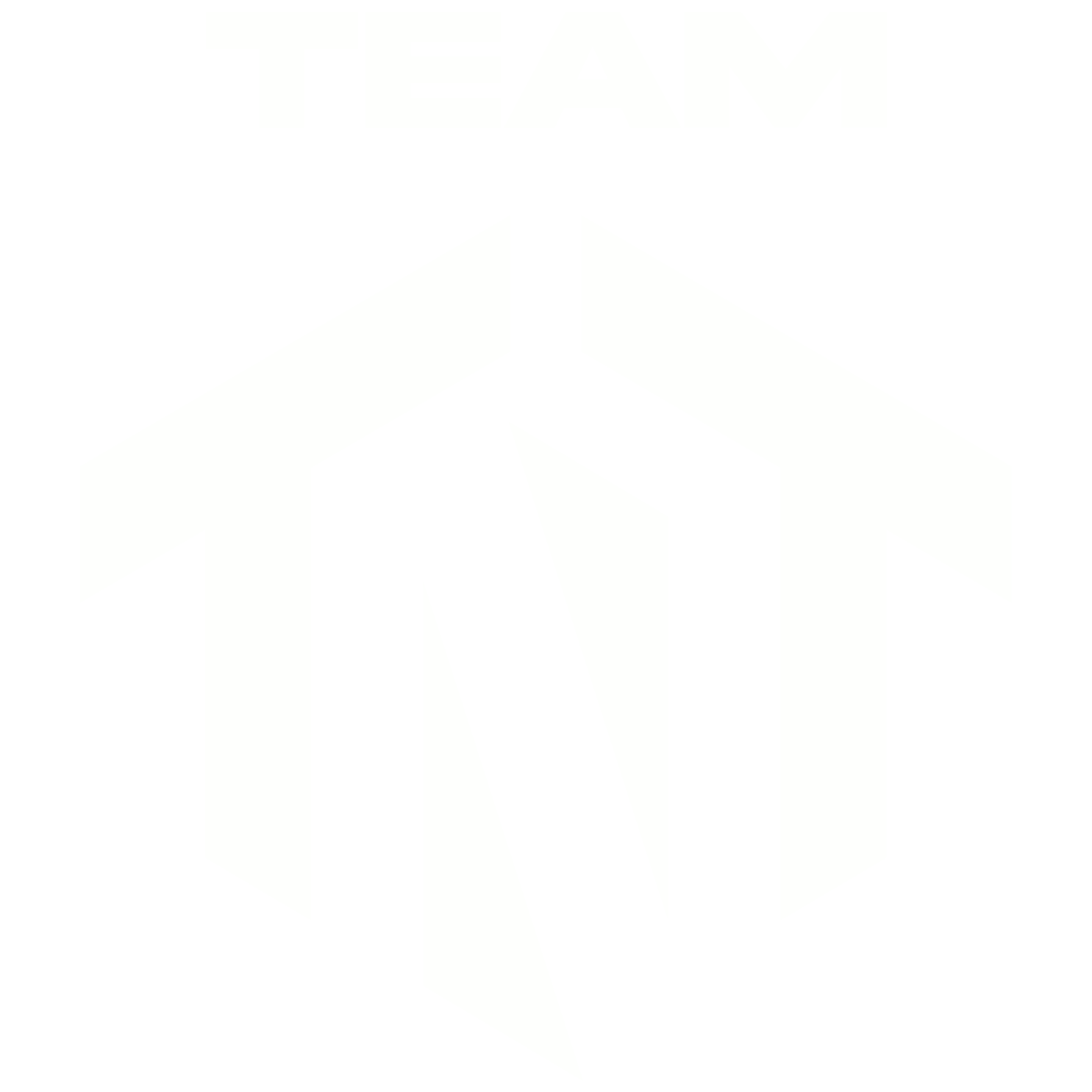 Team TNT